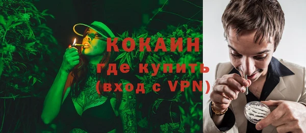 эйфоретик Арсеньев