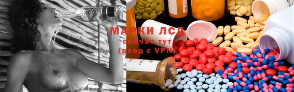 эйфоретик Арсеньев