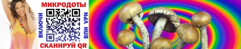 Галлюциногенные грибы Cubensis МЕГА ТОР Камбарка цены